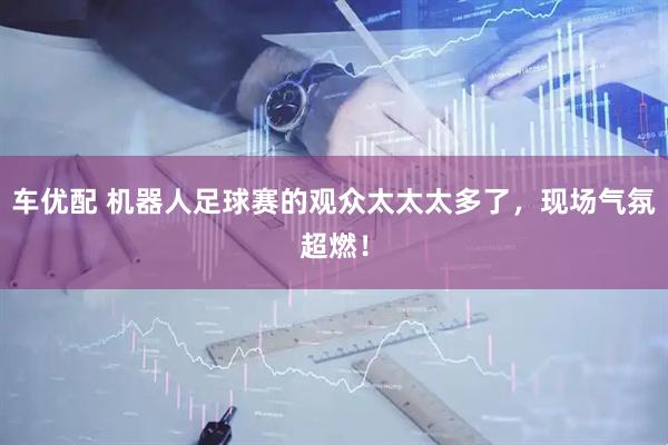 车优配 机器人足球赛的观众太太太多了，现场气氛超燃！