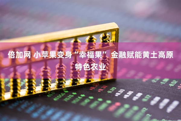 倍加网 小苹果变身“幸福果” 金融赋能黄土高原特色农业