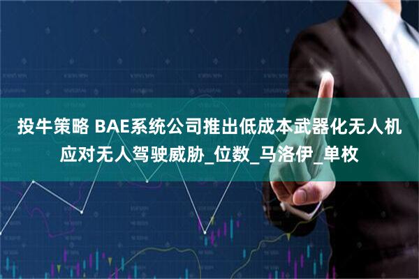 投牛策略 BAE系统公司推出低成本武器化无人机应对无人驾驶威胁_位数_马洛伊_单枚