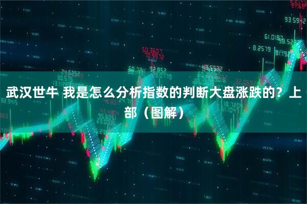 武汉世牛 我是怎么分析指数的判断大盘涨跌的？上部（图解）