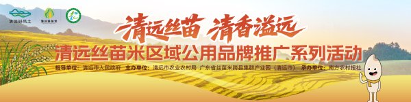 顺策略 清远丝苗米香飘广州珠江帝景，社区推广续写品质佳话