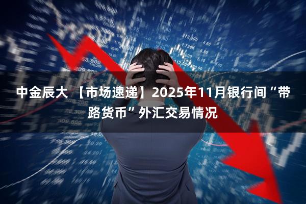 中金辰大 【市场速递】2025年11月银行间“带路货币”外汇交易情况